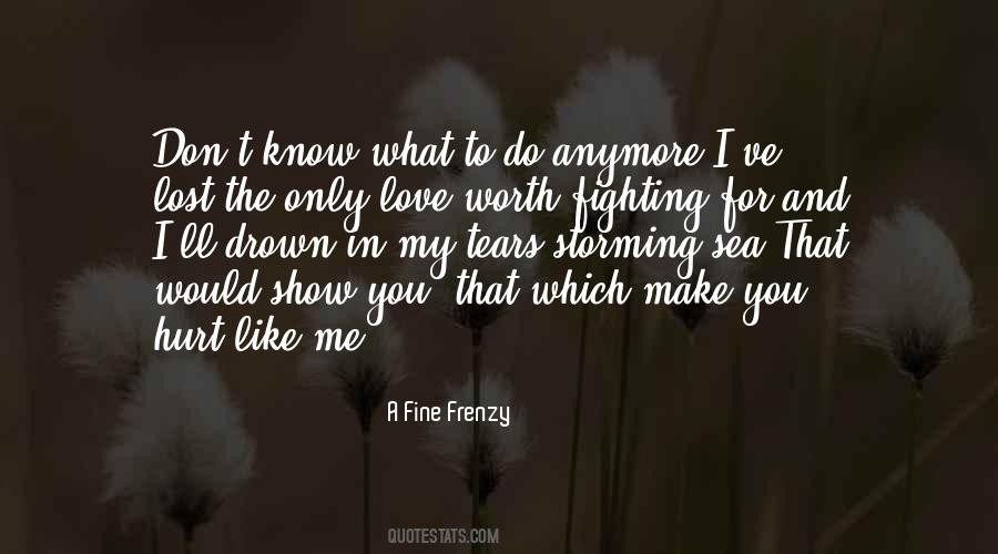 A Fine Frenzy Quotes #1580079