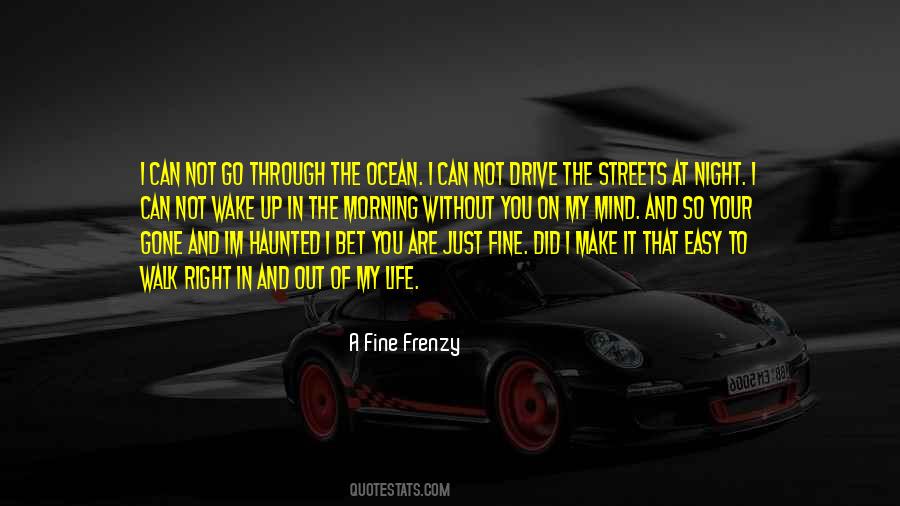 A Fine Frenzy Quotes #26662