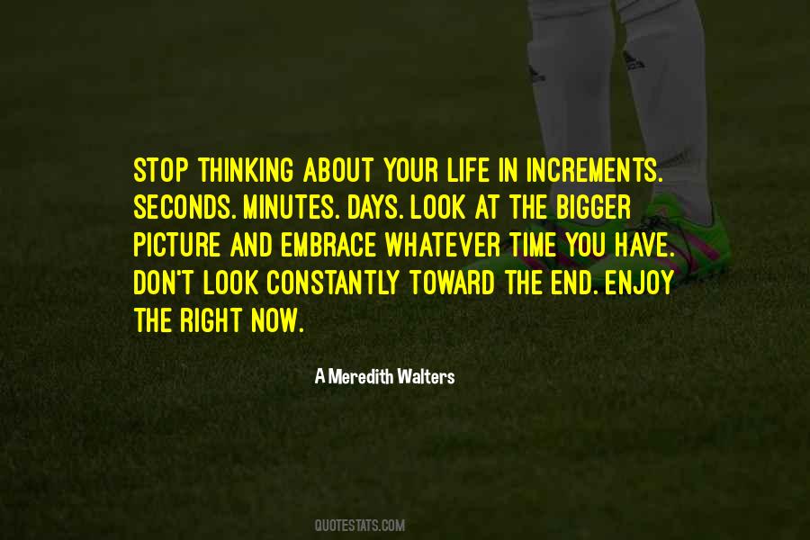 A Meredith Walters Quotes #1009413