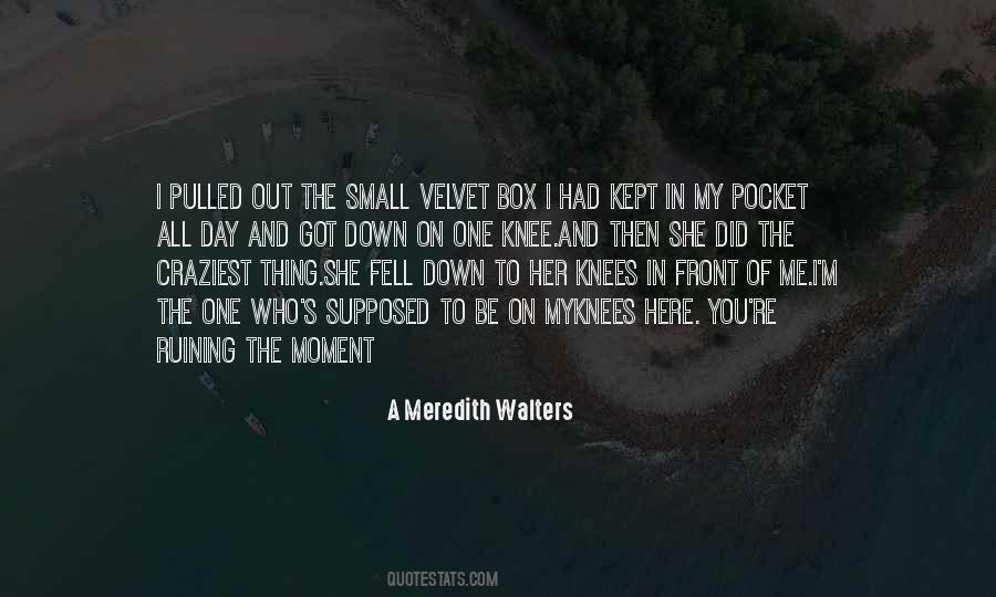 A Meredith Walters Quotes #570132
