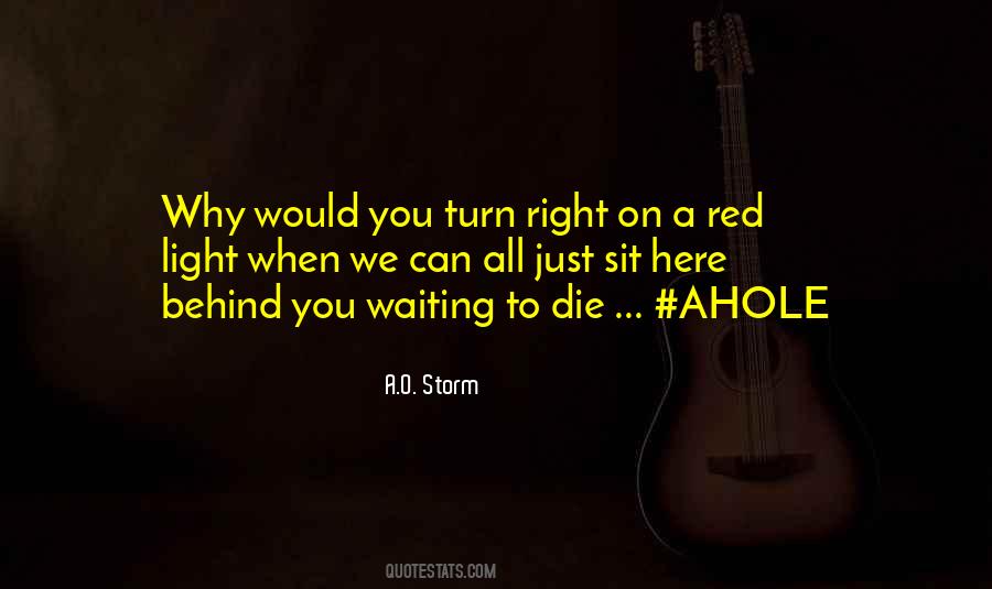 A.O. Storm Quotes #443280
