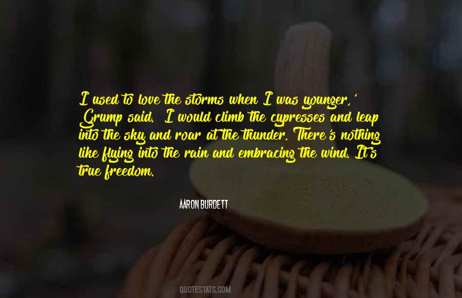 Aaron Burdett Quotes #1375167