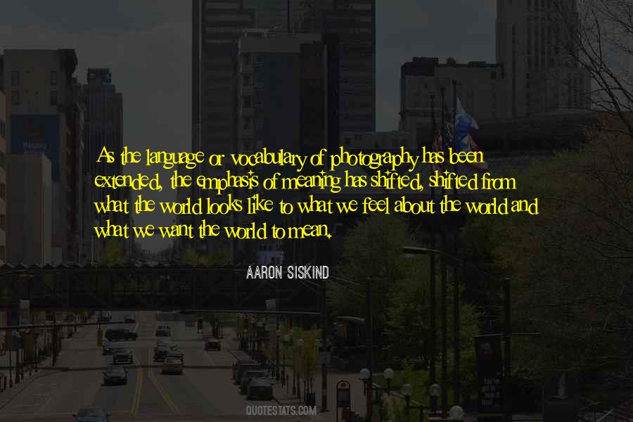 Aaron Siskind Quotes #724201