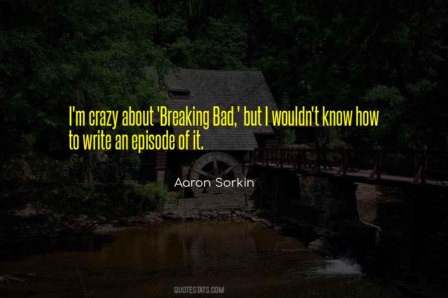 Aaron Sorkin Quotes #1101079