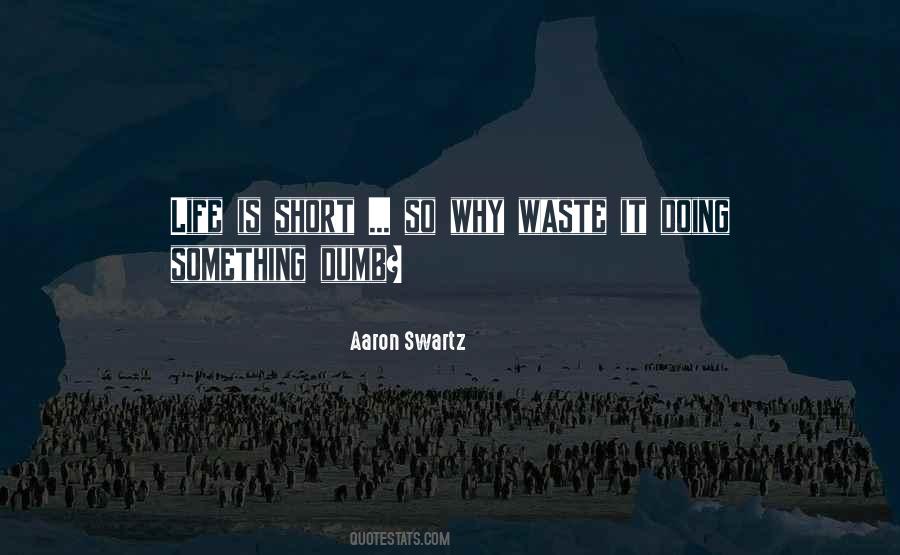 Aaron Swartz Quotes #1212771