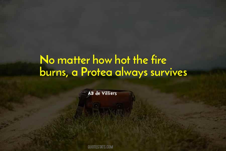 AB De Villiers Quotes #1385830