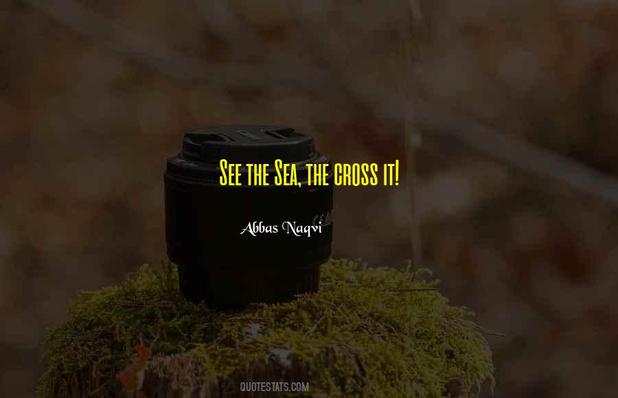 Abbas Naqvi Quotes #19558 Abbas Naqvi Quotes #19558