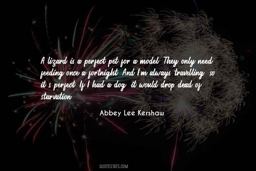 Abbey Lee Kershaw Quotes #881338
