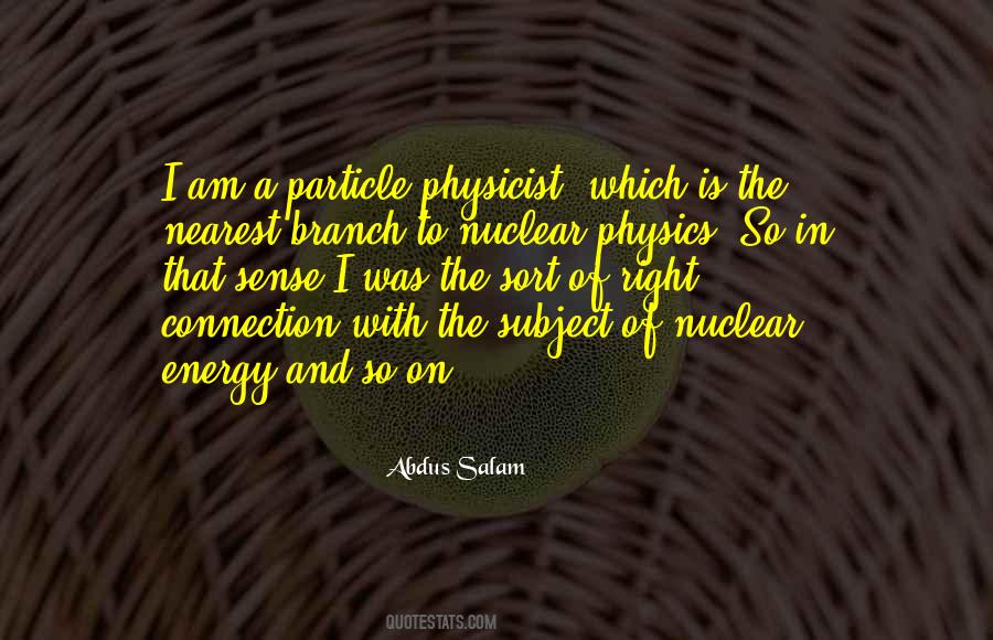 Abdus Salam Quotes #818242