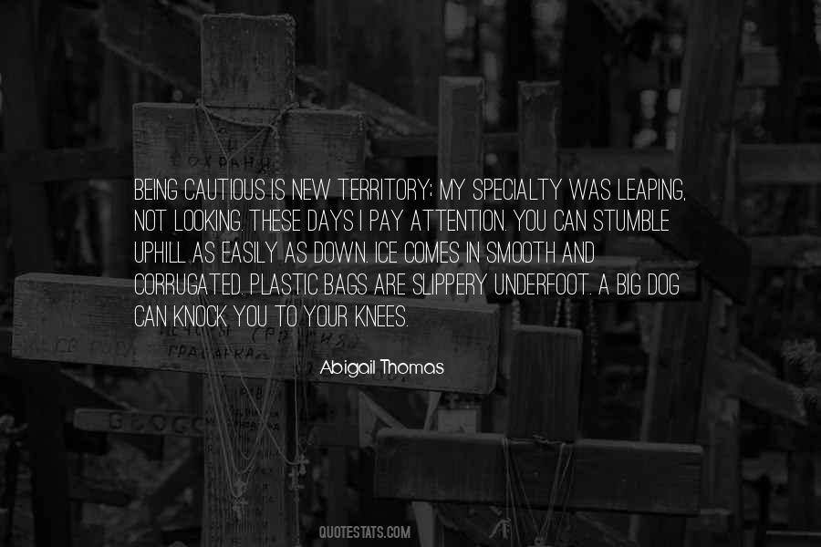 Abigail Thomas Quotes #1556546