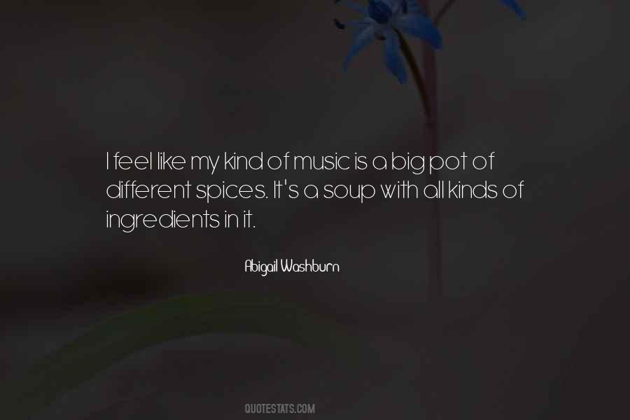 Abigail Washburn Quotes #333163