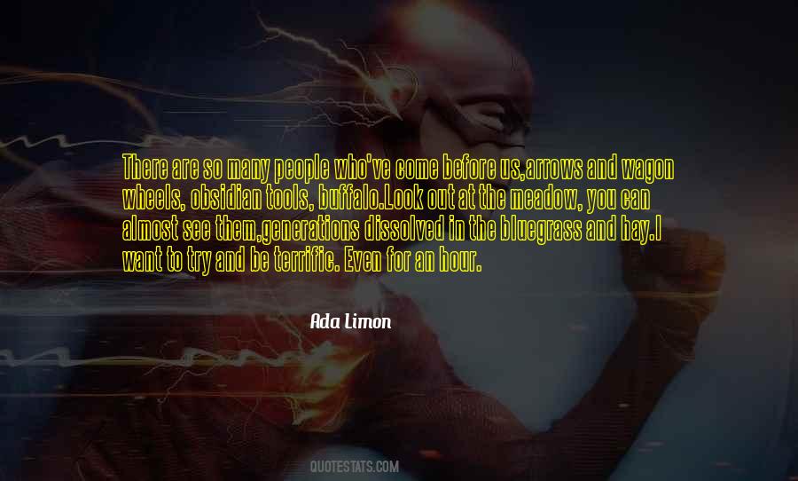 Ada Limon Quotes #1684337