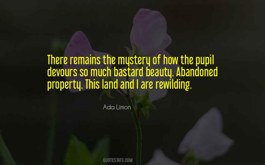 Ada Limon Quotes #441711