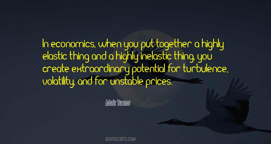 Adair Turner Quotes #48315