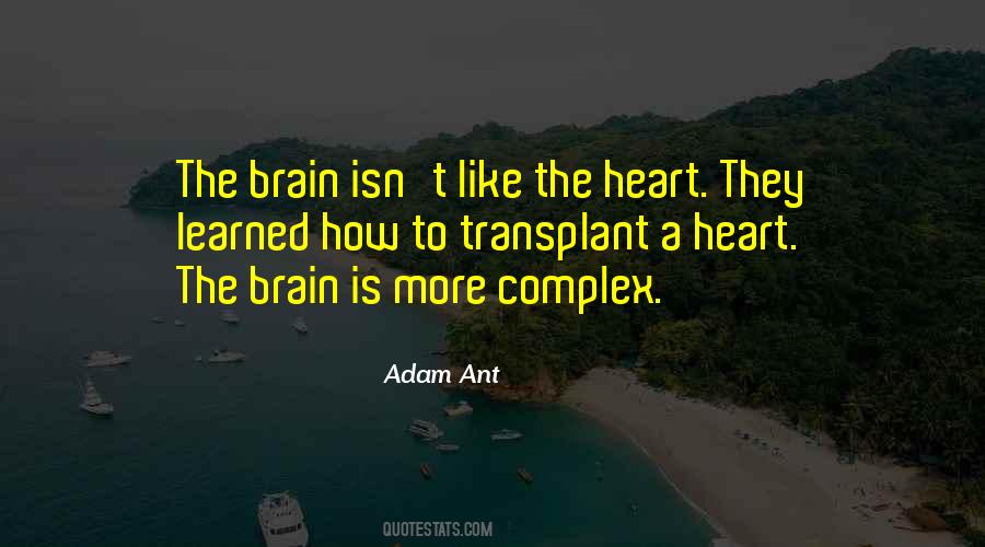 Adam Ant Quotes #1026972