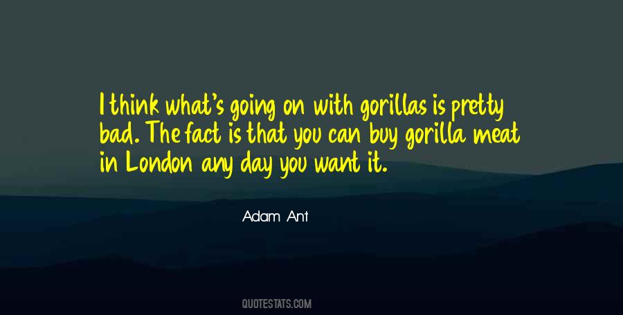 Adam Ant Quotes #1399078