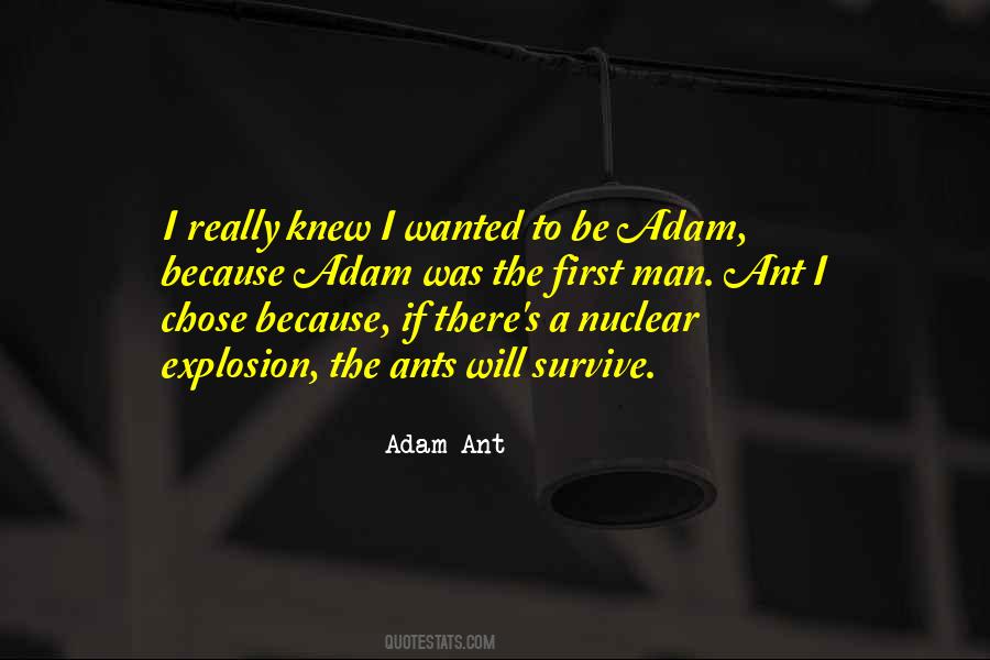 Adam Ant Quotes #277062