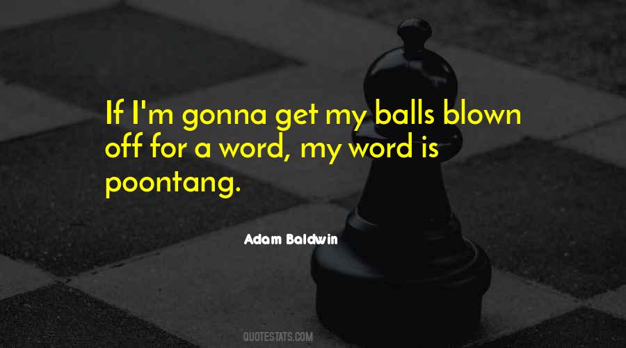 Adam Baldwin Quotes #580211