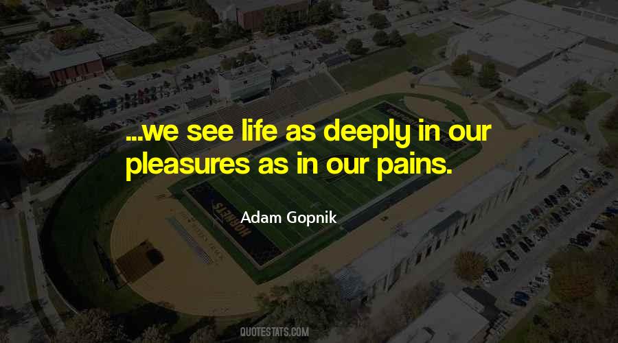 Adam Gopnik Quotes #1645010