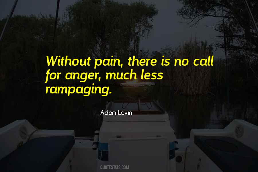 Adam Levin Quotes #107572