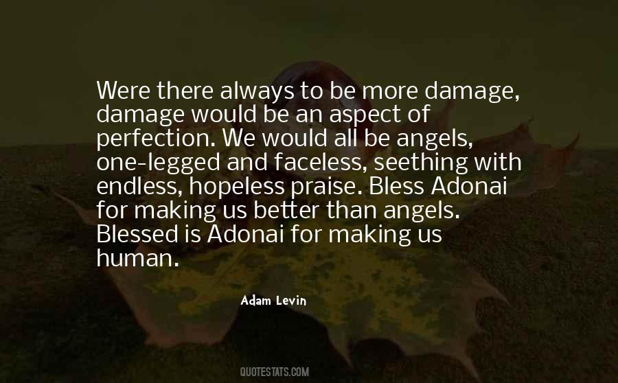 Adam Levin Quotes #359225