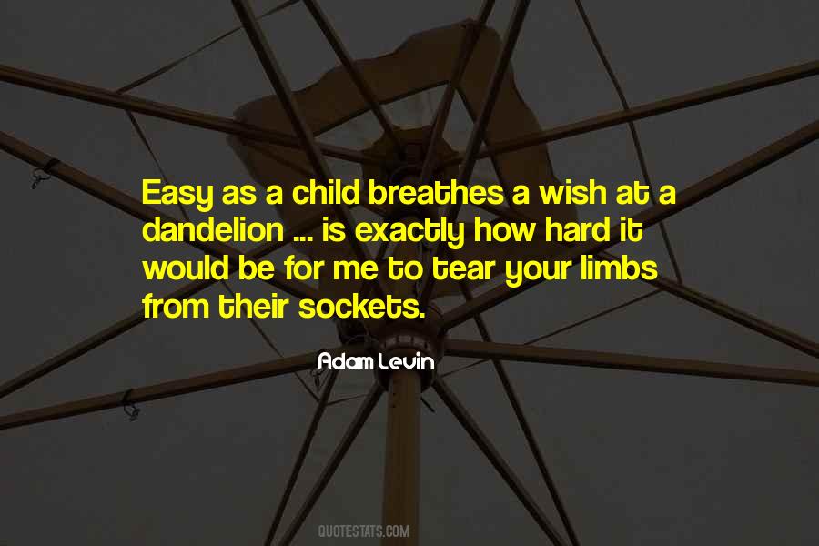 Adam Levin Quotes #899260