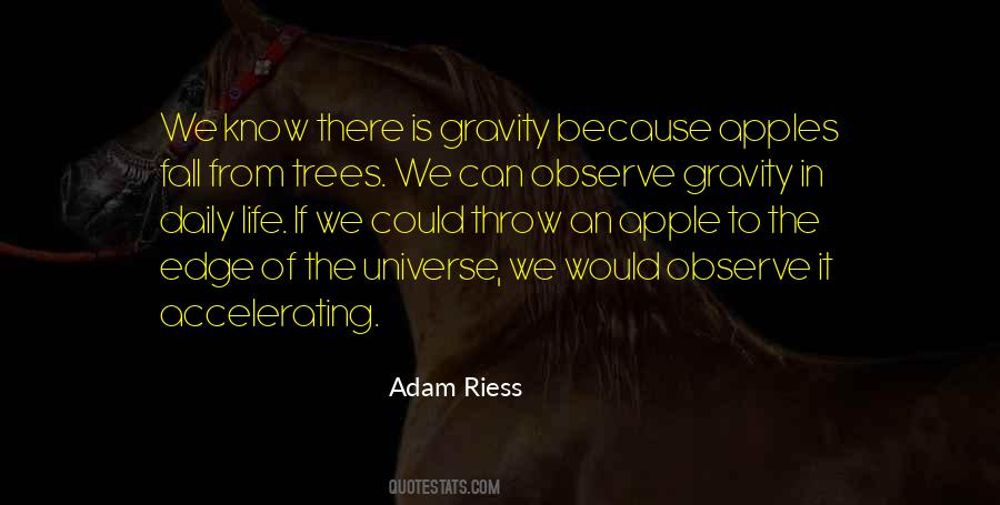 Adam Riess Quotes #1090574