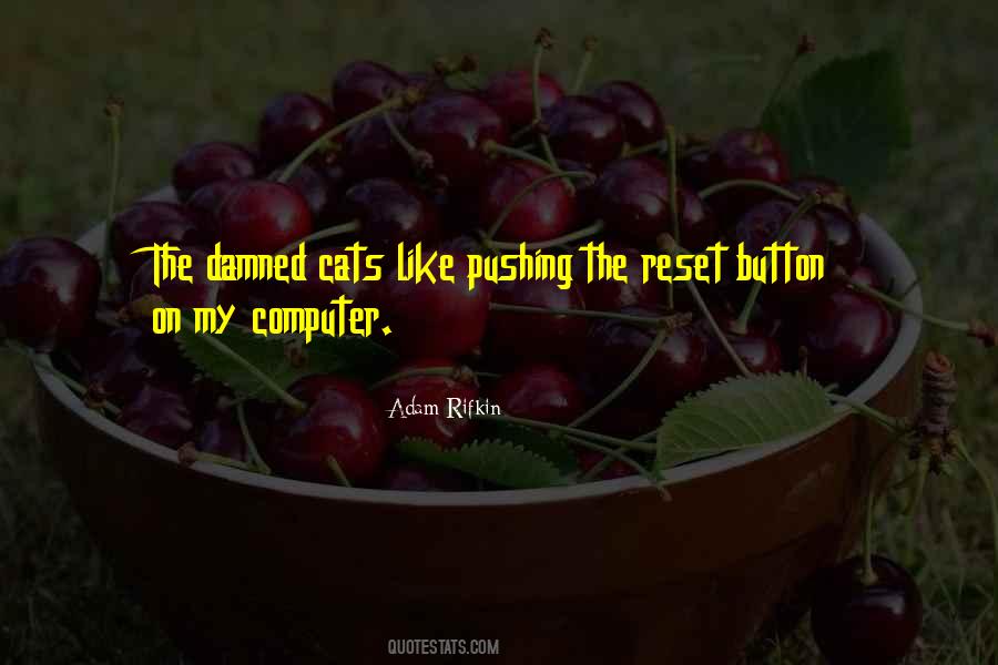 Adam Rifkin Quotes #62673