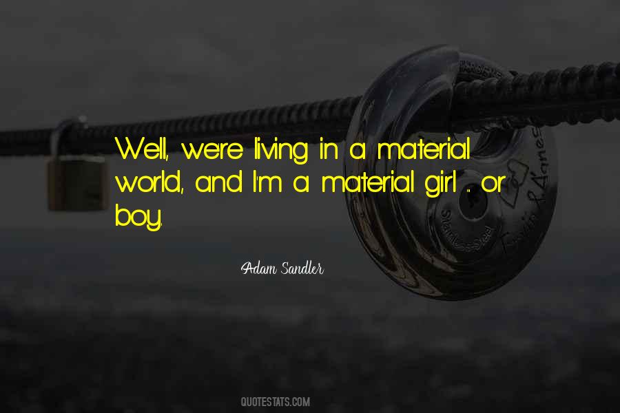 Adam Sandler Quotes #1188928