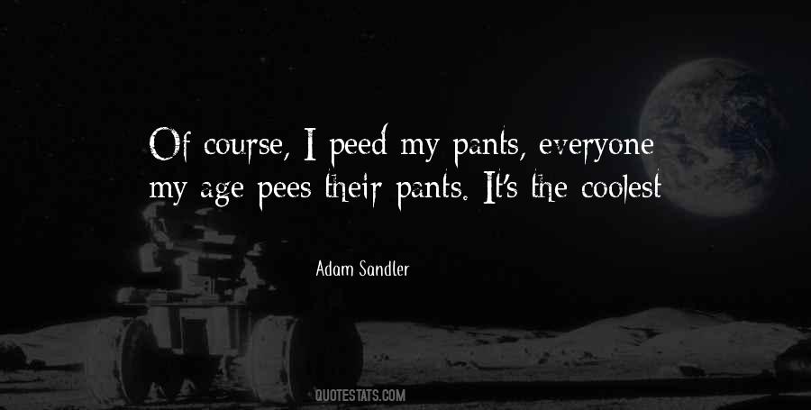 Adam Sandler Quotes #840057