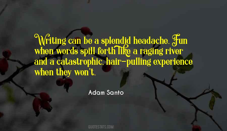 Adam Santo Quotes #1267831