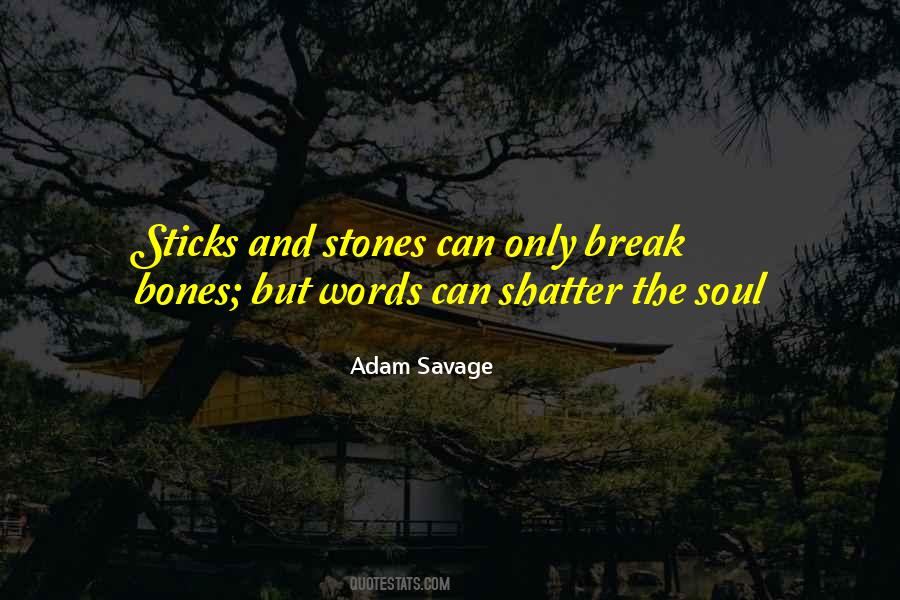 Adam Savage Quotes #1113194