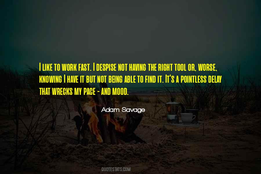 Adam Savage Quotes #1679414