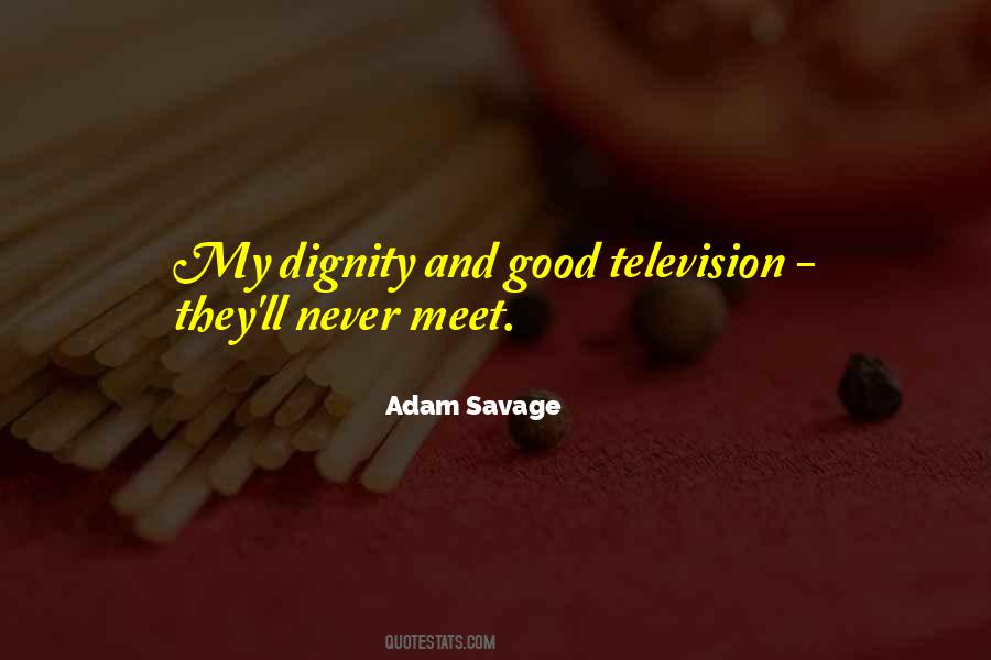 Adam Savage Quotes #587298