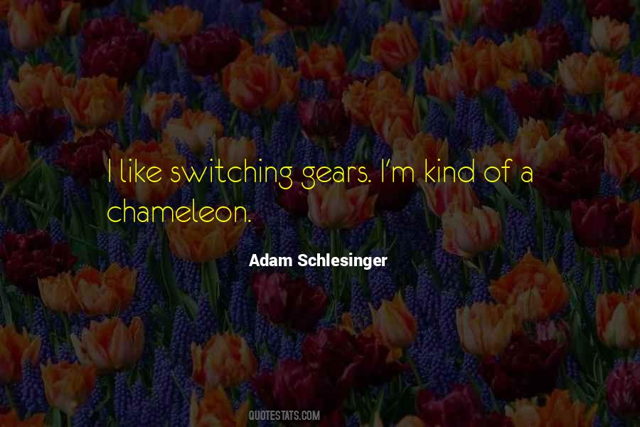 Adam Schlesinger Quotes #705741