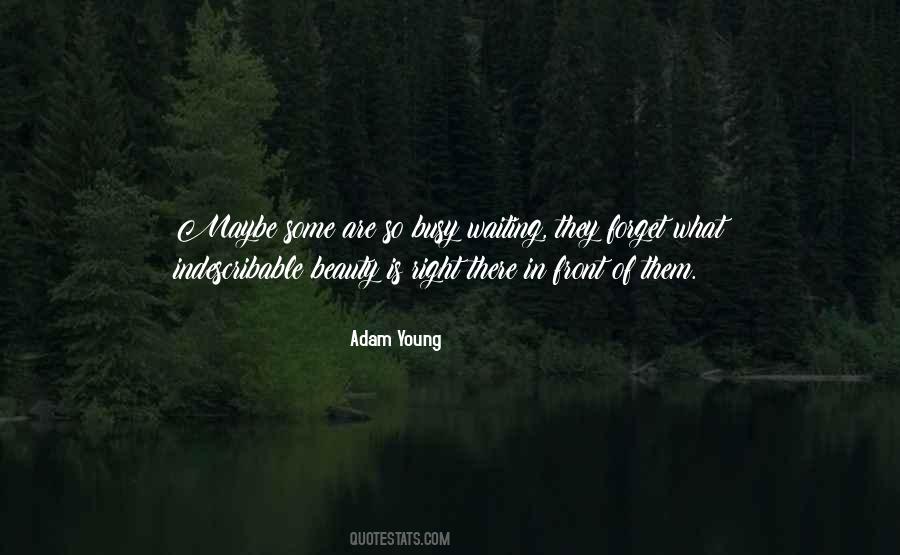 Adam Young Quotes #1647740