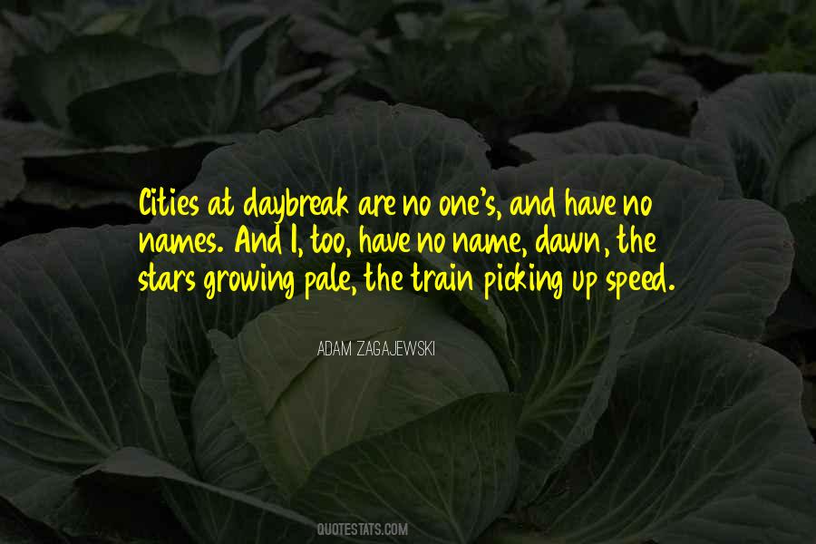 Adam Zagajewski Quotes #688157 Adam Zagajewski Quotes #688157