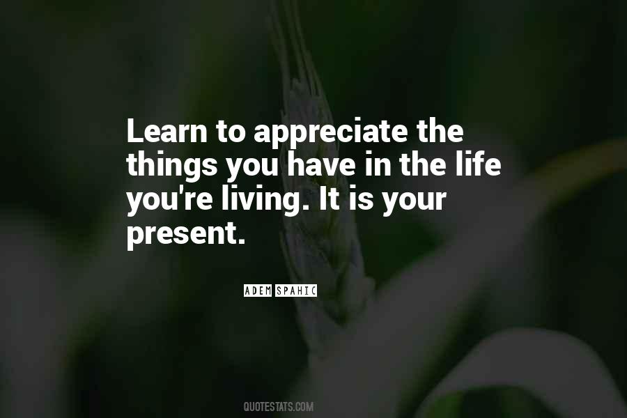 Adem Spahic Quotes #69860 Adem Spahic Quotes #69860