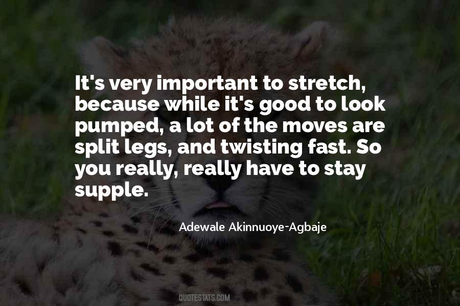 Adewale Akinnuoye-Agbaje Quotes #45587