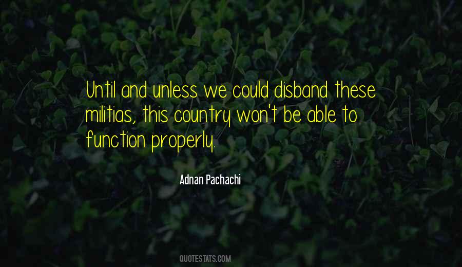 Adnan Pachachi Quotes #492717