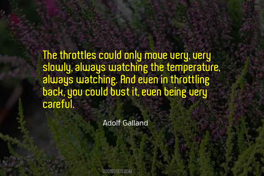Adolf Galland Quotes #186474