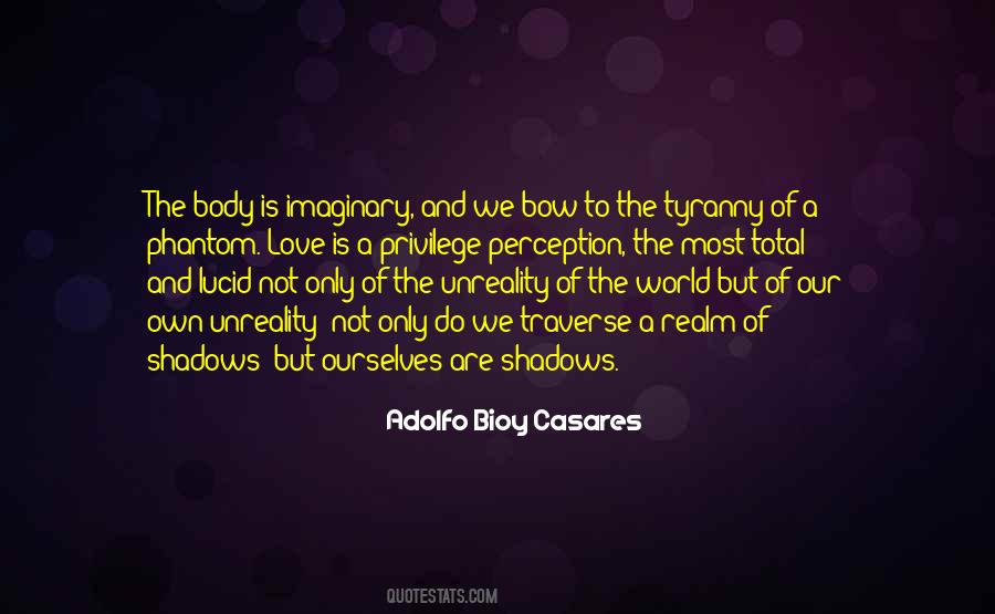 Adolfo Bioy Casares Quotes #988739