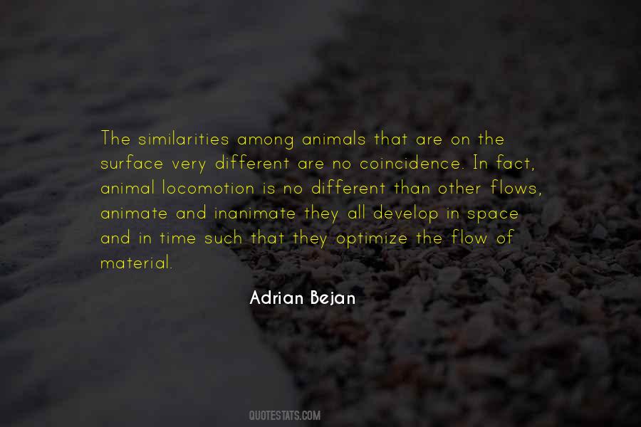 Adrian Bejan Quotes #337096