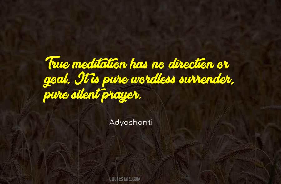 Adyashanti Quotes #1287962
