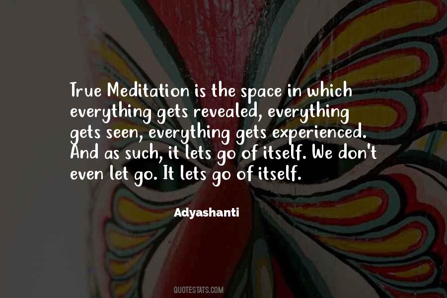 Adyashanti Quotes #1573315