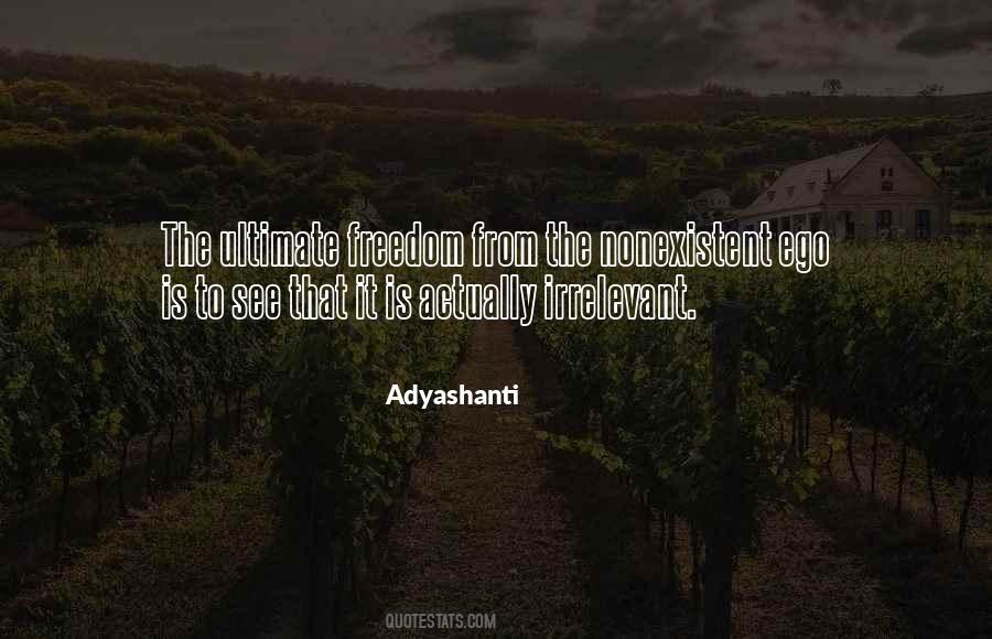 Adyashanti Quotes #35031