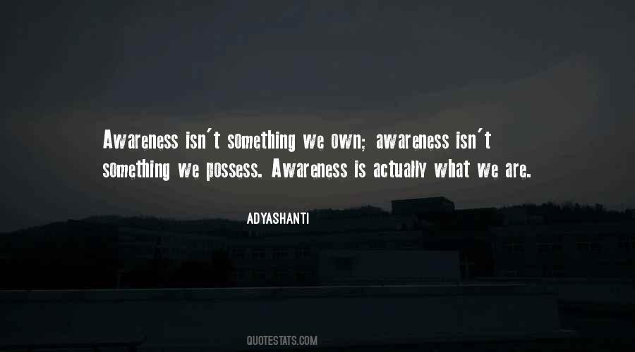 Adyashanti Quotes #352687