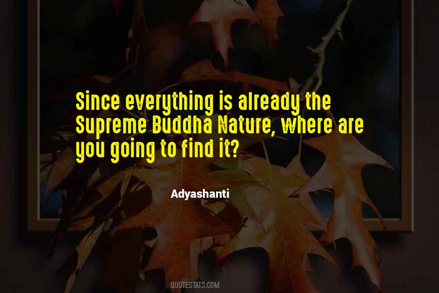 Adyashanti Quotes #921954