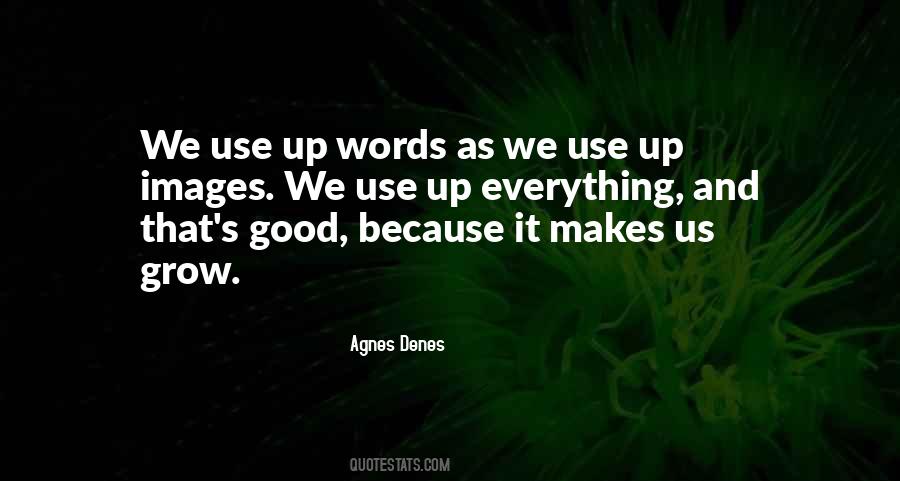 Agnes Denes Quotes #317251