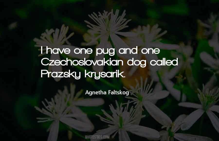 Agnetha Faltskog Quotes #130802